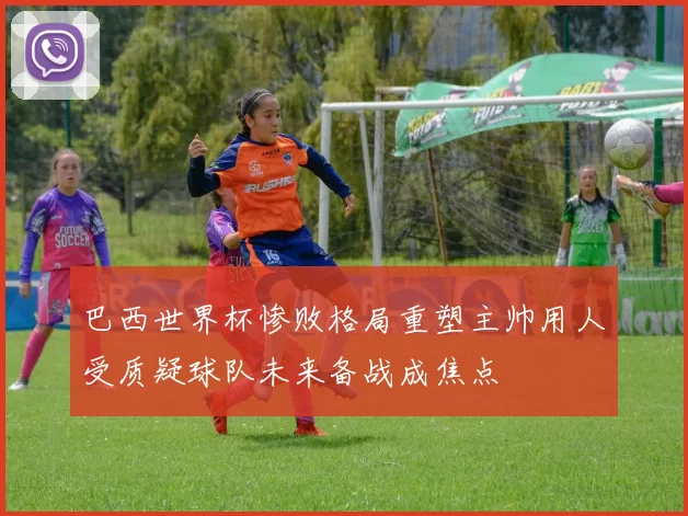 巴西世界杯惨败格局重塑主帅用人受质疑球队未来备战成焦点