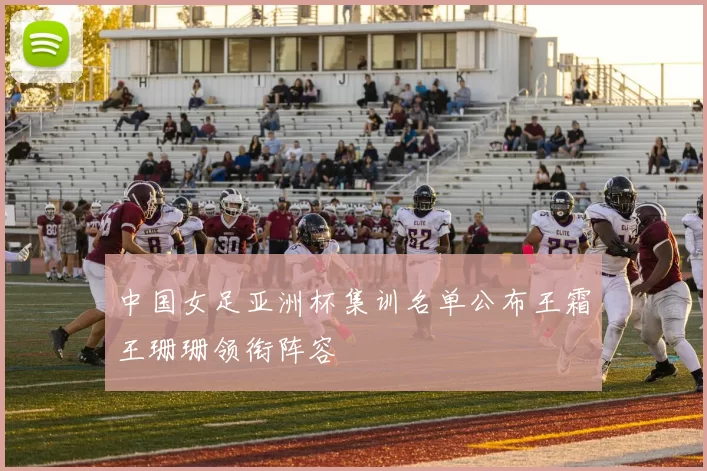 中国女足亚洲杯集训名单公布王霜王珊珊领衔阵容