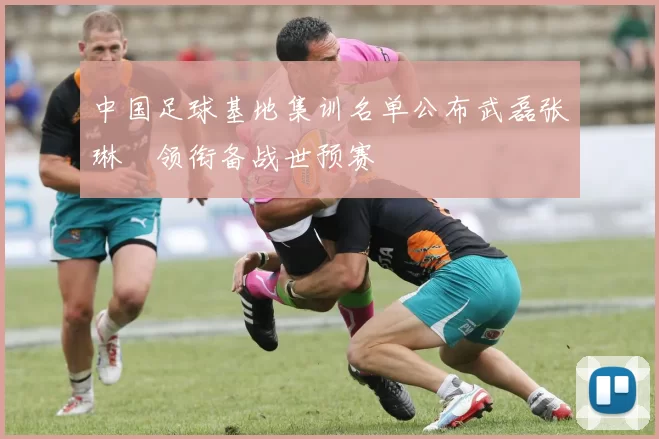 中国足球基地集训名单公布武磊张琳芃领衔备战世预赛