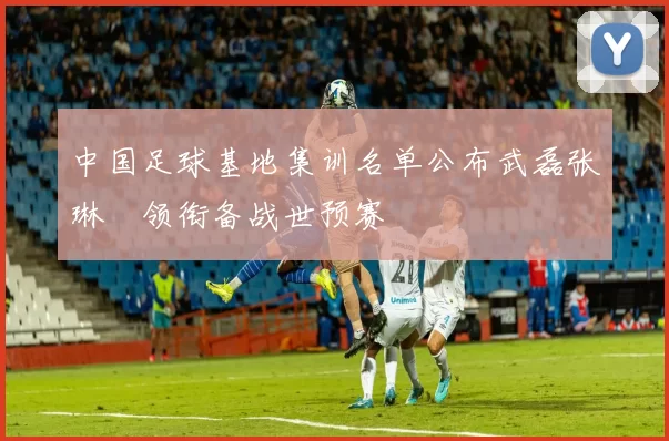 中国足球基地集训名单公布武磊张琳芃领衔备战世预赛