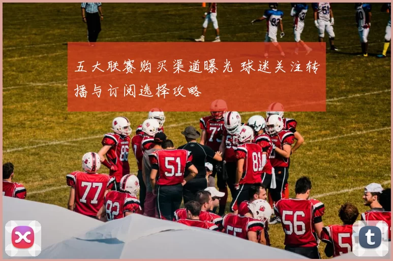 五大联赛购买渠道曝光 球迷关注转播与订阅选择攻略