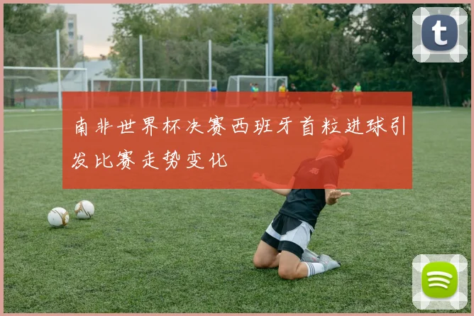南非世界杯决赛西班牙首粒进球引发比赛走势变化