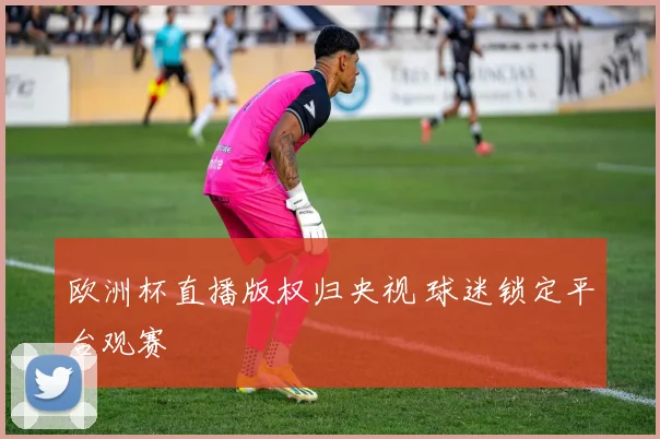 欧洲杯直播版权归央视 球迷锁定平台观赛