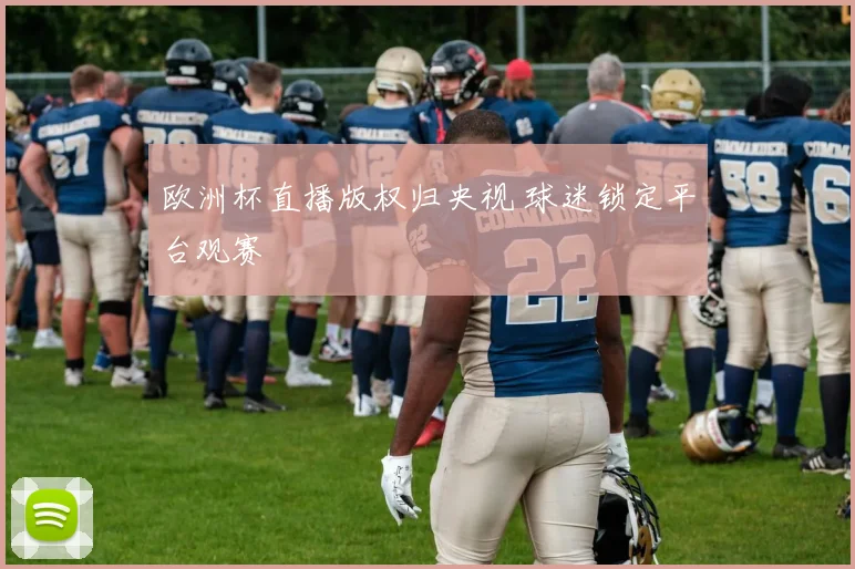 欧洲杯直播版权归央视 球迷锁定平台观赛