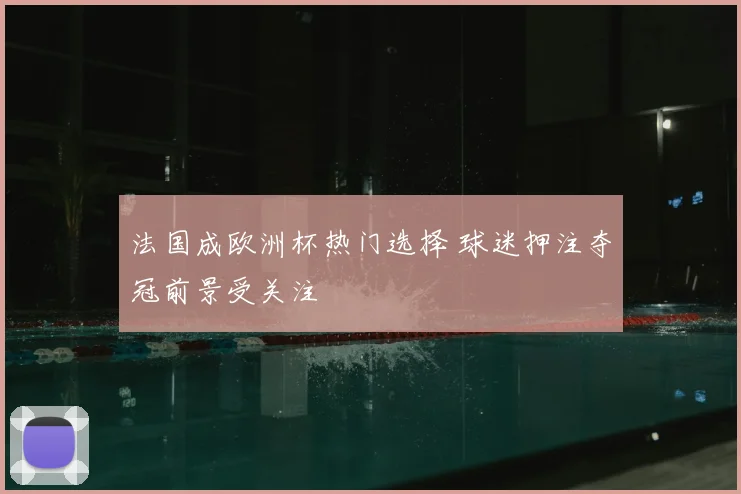 法国成欧洲杯热门选择 球迷押注夺冠前景受关注