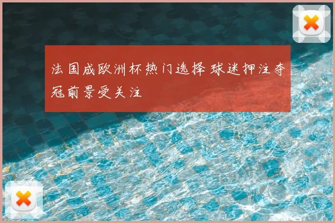 法国成欧洲杯热门选择 球迷押注夺冠前景受关注